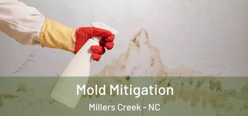  Mold Mitigation Millers Creek - NC