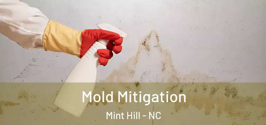  Mold Mitigation Mint Hill - NC
