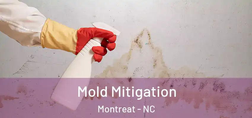 Mold Mitigation Montreat - NC