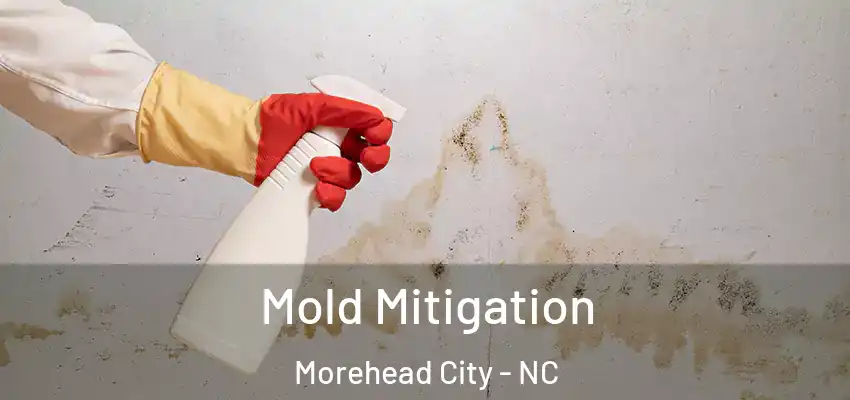  Mold Mitigation Morehead City - NC