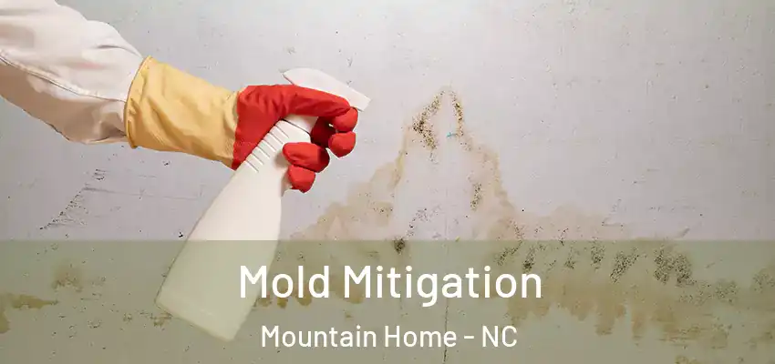 Mold Mitigation Mountain Home - NC