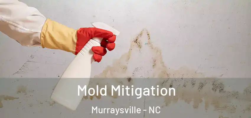  Mold Mitigation Murraysville - NC