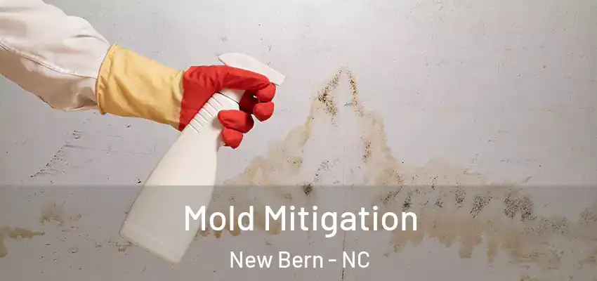 Mold Mitigation New Bern - NC
