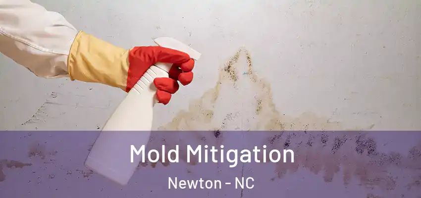  Mold Mitigation Newton - NC
