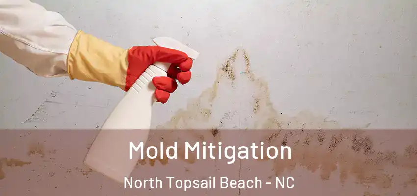 Mold Mitigation North Topsail Beach - NC
