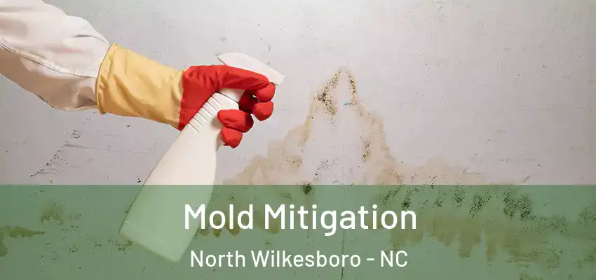 Mold Mitigation North Wilkesboro - NC