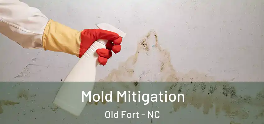  Mold Mitigation Old Fort - NC