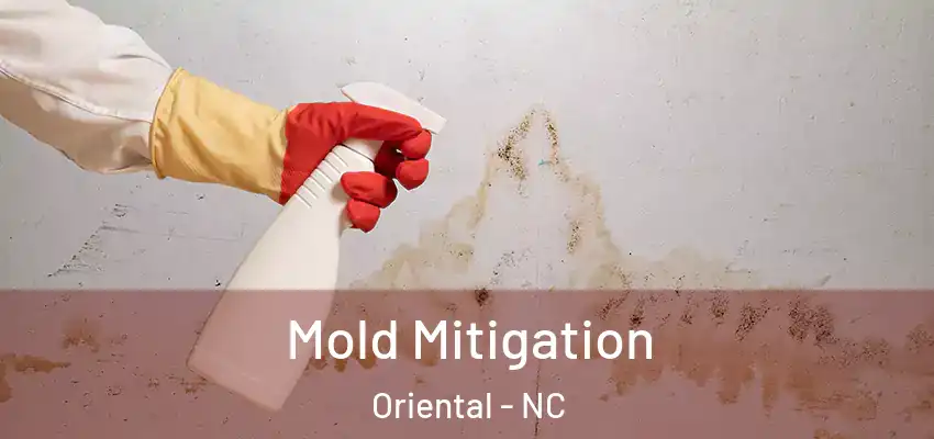 Mold Mitigation Oriental - NC