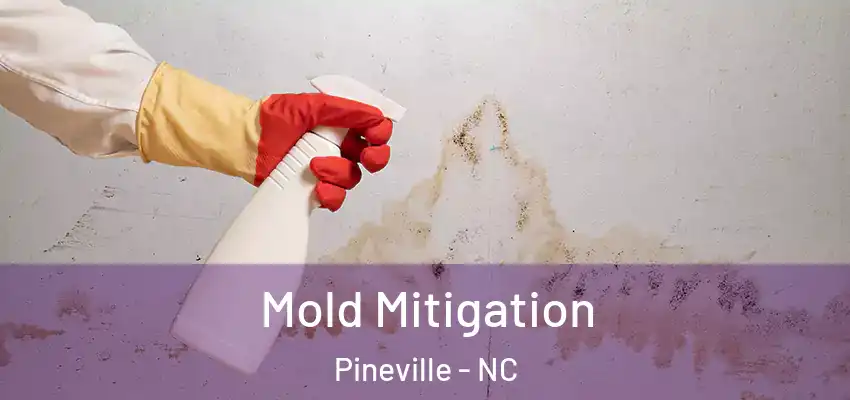  Mold Mitigation Pineville - NC