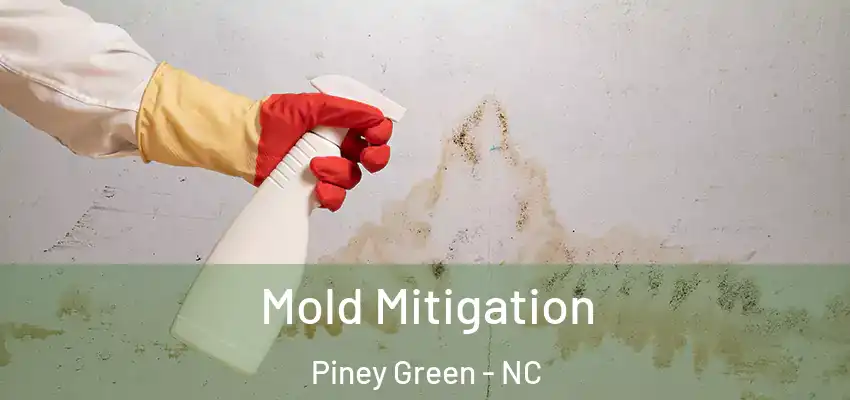 Mold Mitigation Piney Green - NC