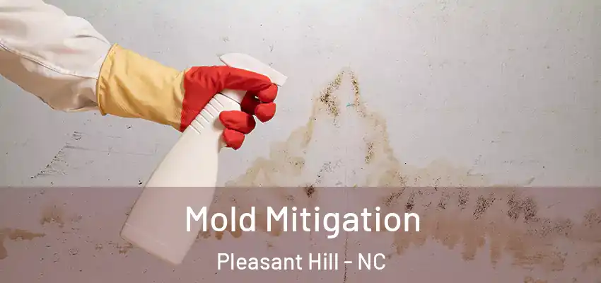  Mold Mitigation Pleasant Hill - NC