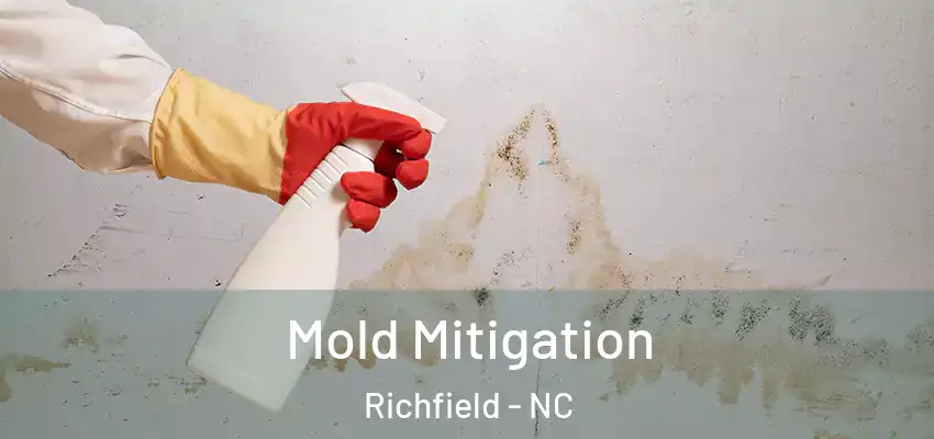  Mold Mitigation Richfield - NC
