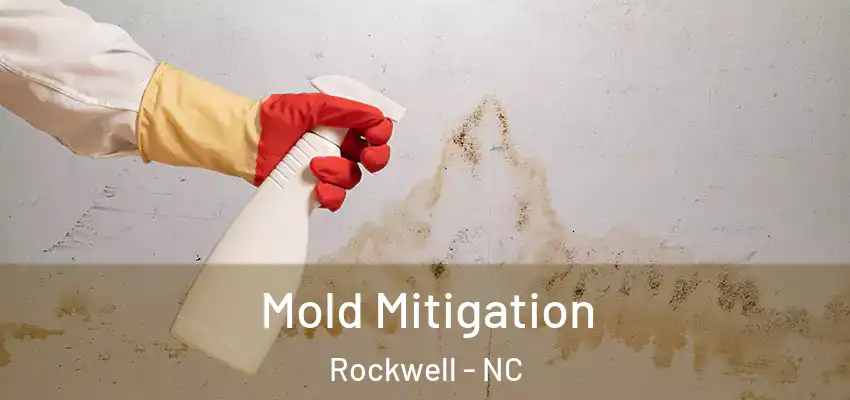  Mold Mitigation Rockwell - NC