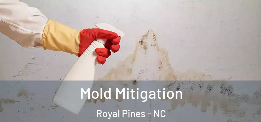 Mold Mitigation Royal Pines - NC
