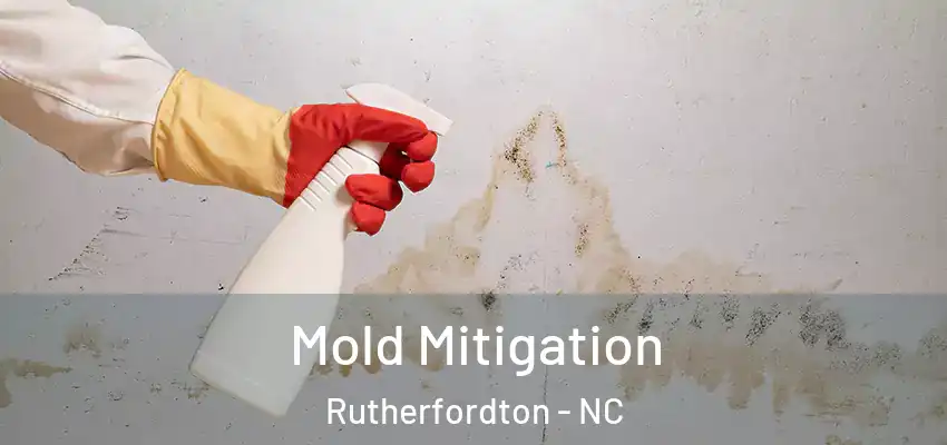  Mold Mitigation Rutherfordton - NC