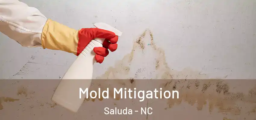 Mold Mitigation Saluda - NC