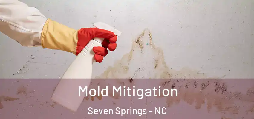 Mold Mitigation Seven Springs - NC