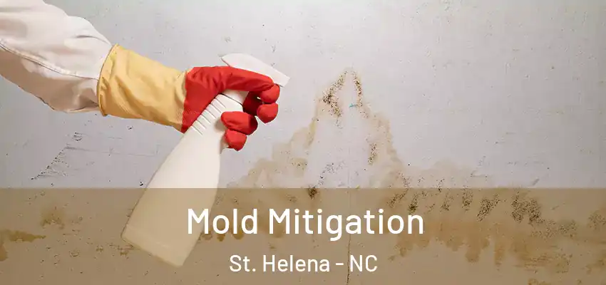 Mold Mitigation St. Helena - NC