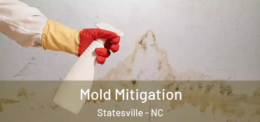  Mold Mitigation Statesville - NC