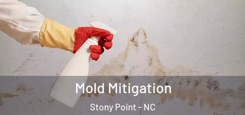  Mold Mitigation Stony Point - NC