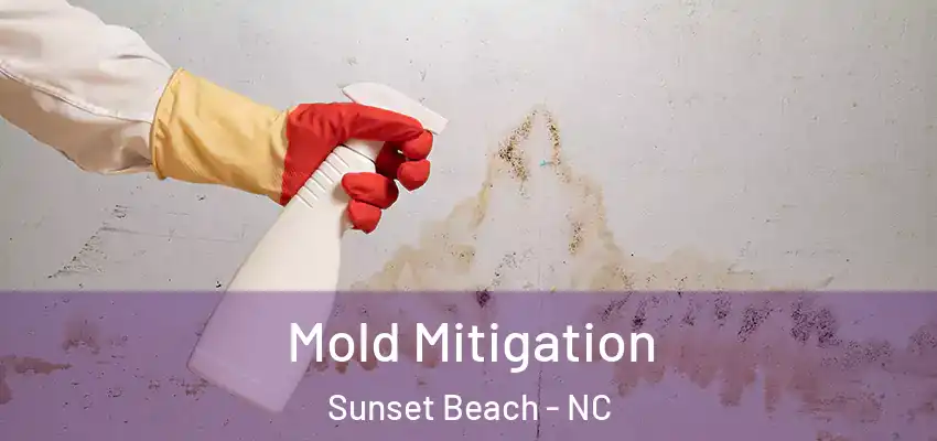  Mold Mitigation Sunset Beach - NC