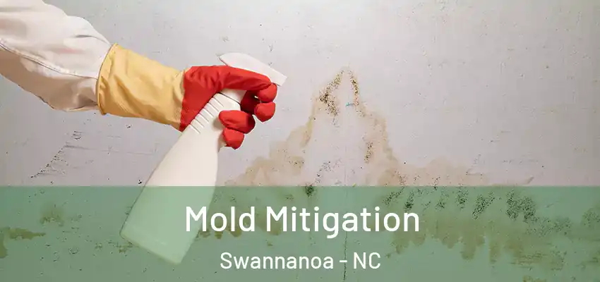 Mold Mitigation Swannanoa - NC