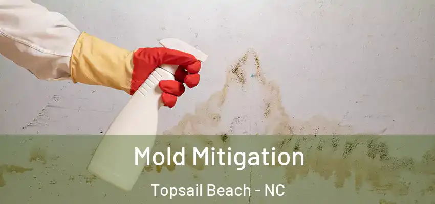 Mold Mitigation Topsail Beach - NC
