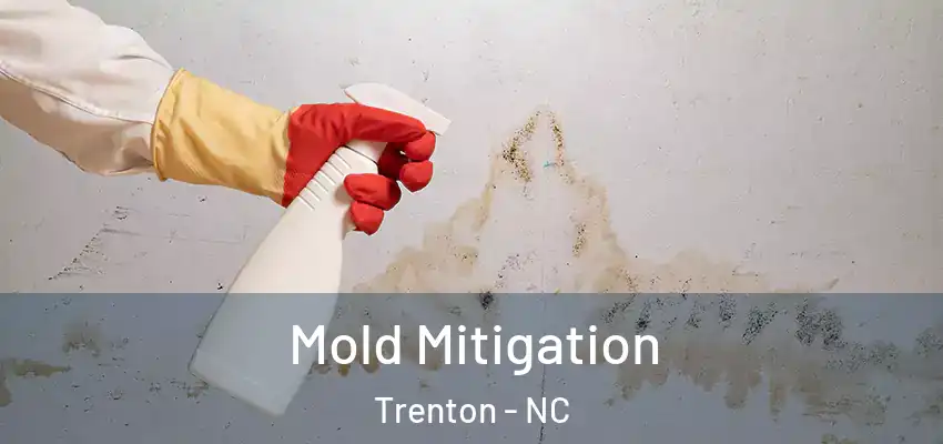  Mold Mitigation Trenton - NC