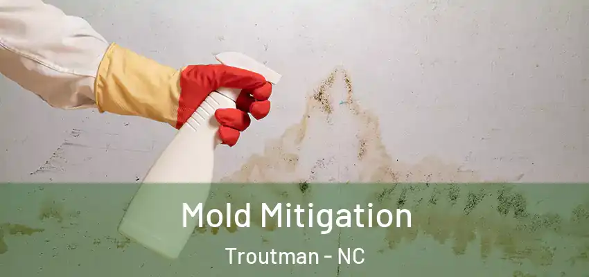  Mold Mitigation Troutman - NC
