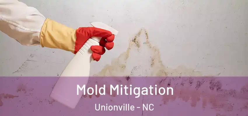  Mold Mitigation Unionville - NC