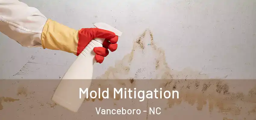 Mold Mitigation Vanceboro - NC