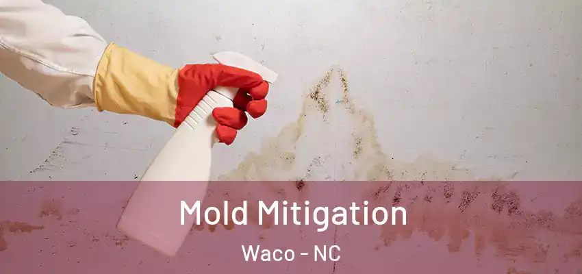  Mold Mitigation Waco - NC