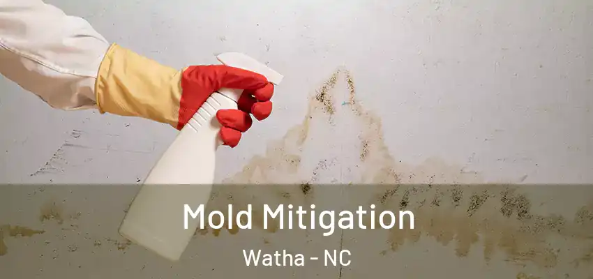  Mold Mitigation Watha - NC