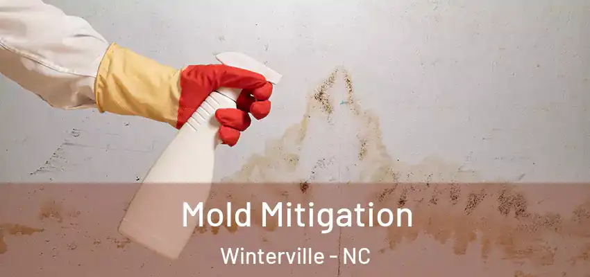 Mold Mitigation Winterville - NC