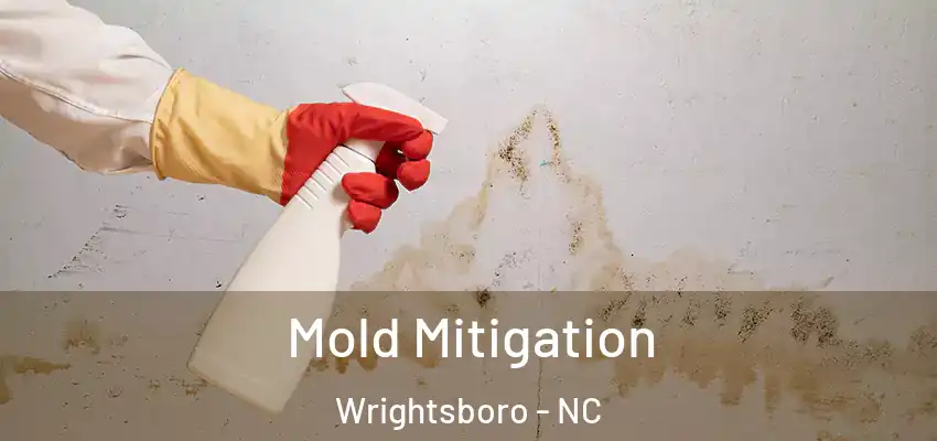  Mold Mitigation Wrightsboro - NC