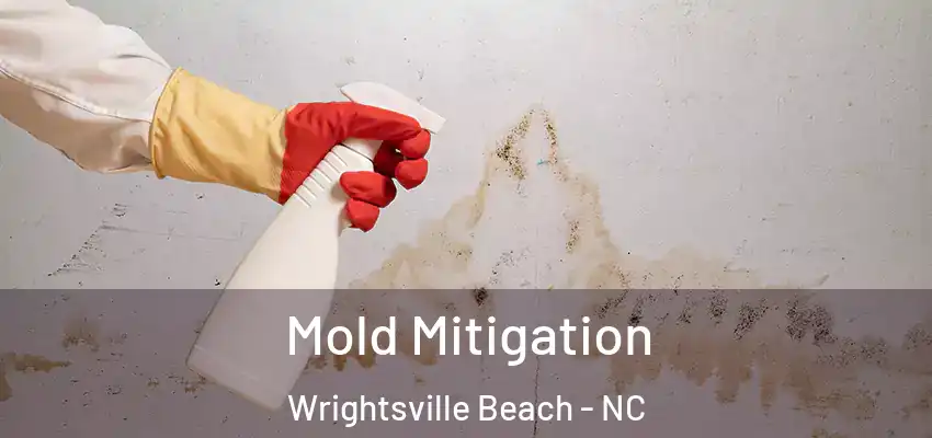  Mold Mitigation Wrightsville Beach - NC