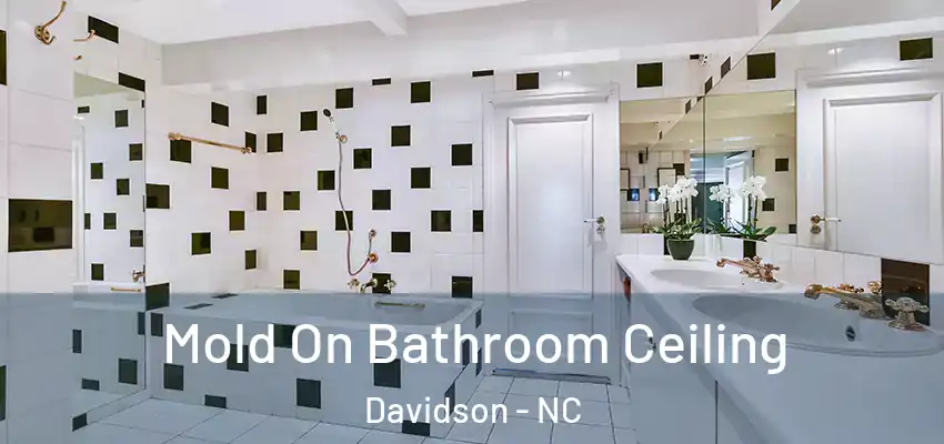 Mold On Bathroom Ceiling Davidson - NC