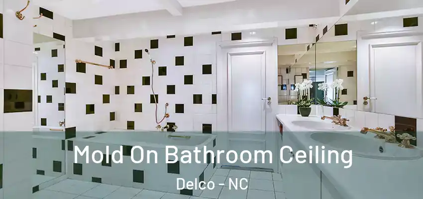 Mold On Bathroom Ceiling Delco - NC