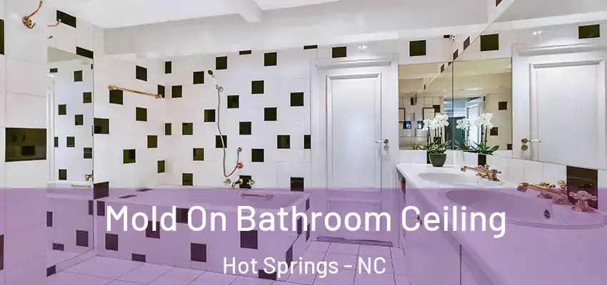  Mold On Bathroom Ceiling Hot Springs - NC