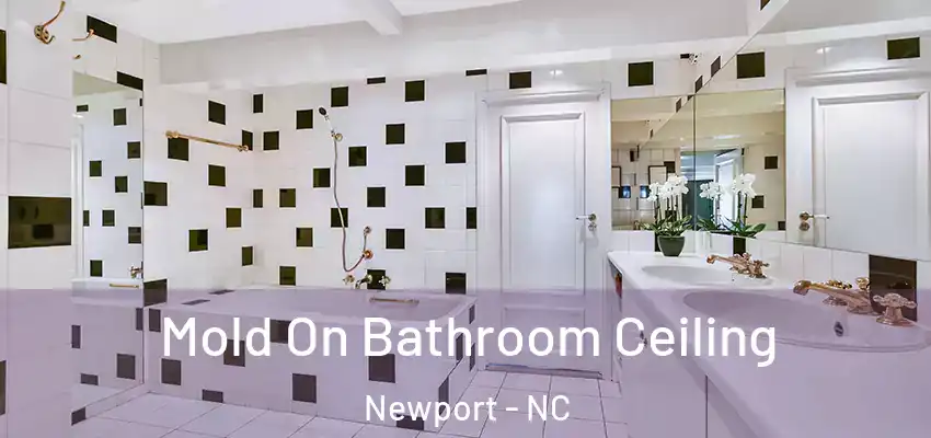  Mold On Bathroom Ceiling Newport - NC