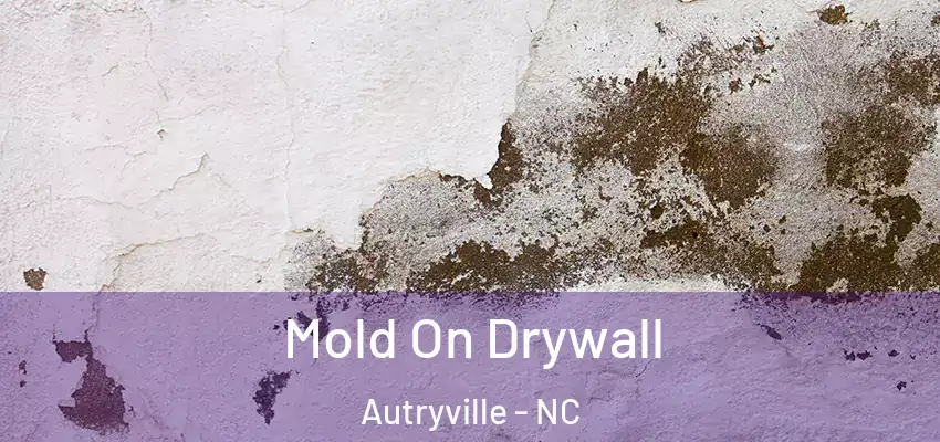 Mold On Drywall Autryville - NC