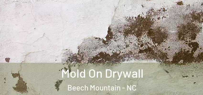  Mold On Drywall Beech Mountain - NC