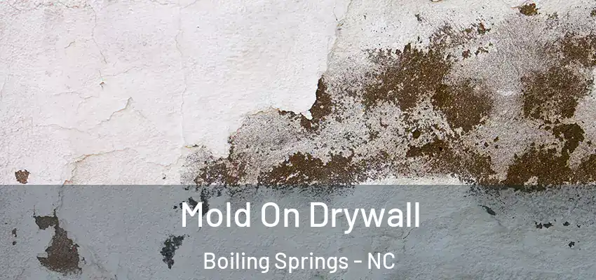 Mold On Drywall Boiling Springs - NC