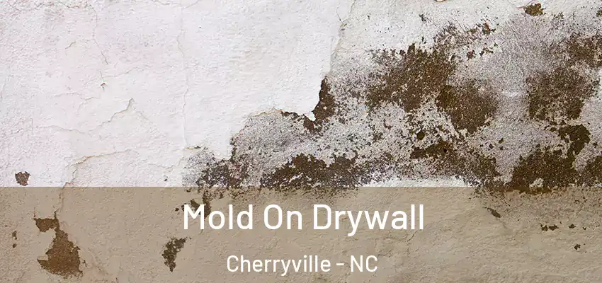 Mold On Drywall Cherryville - NC