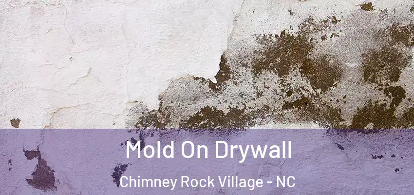  Mold On Drywall Chimney Rock Village - NC
