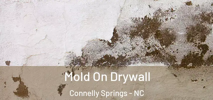  Mold On Drywall Connelly Springs - NC