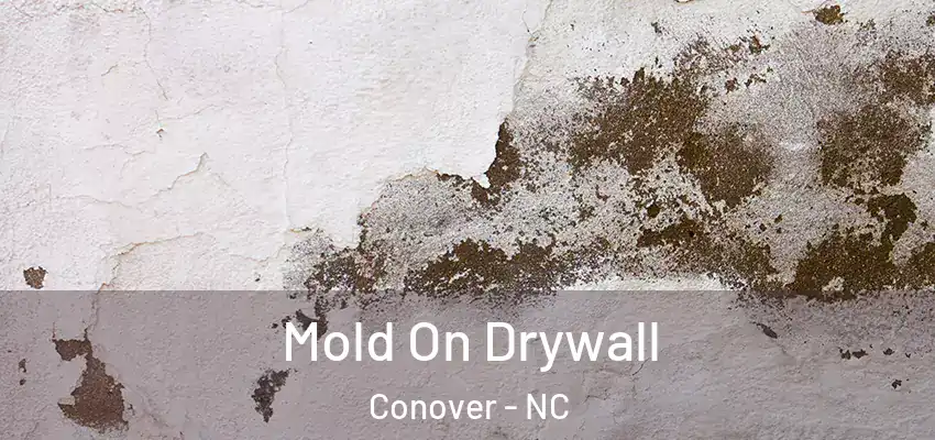 Mold On Drywall Conover - NC