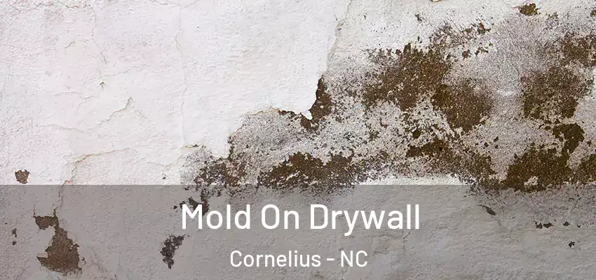 Mold On Drywall Cornelius - NC