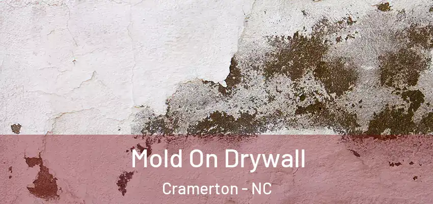  Mold On Drywall Cramerton - NC