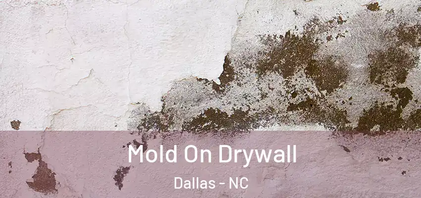 Mold On Drywall Dallas - NC